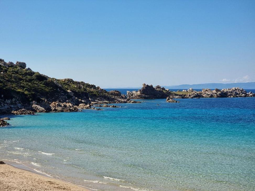 Apartmán La Stella Azzurra Sul Mare Santa Teresa Gallura Exteriér fotografie
